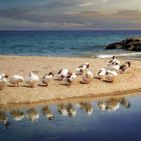 Aiolos Suite Sitia  Buitenkant foto